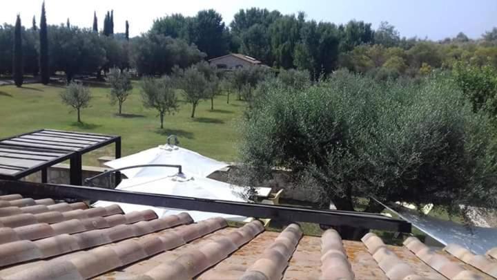 Agriturismo Lupo Cerrino Tarquinia Exteriér fotografie