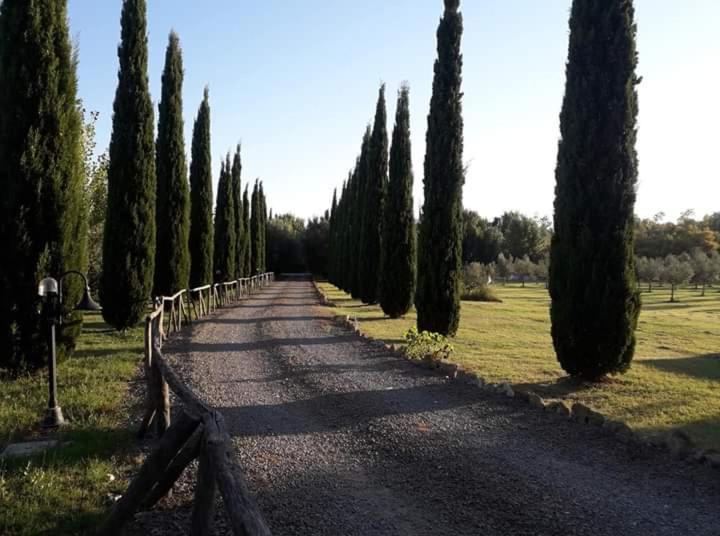 Agriturismo Lupo Cerrino Tarquinia Exteriér fotografie