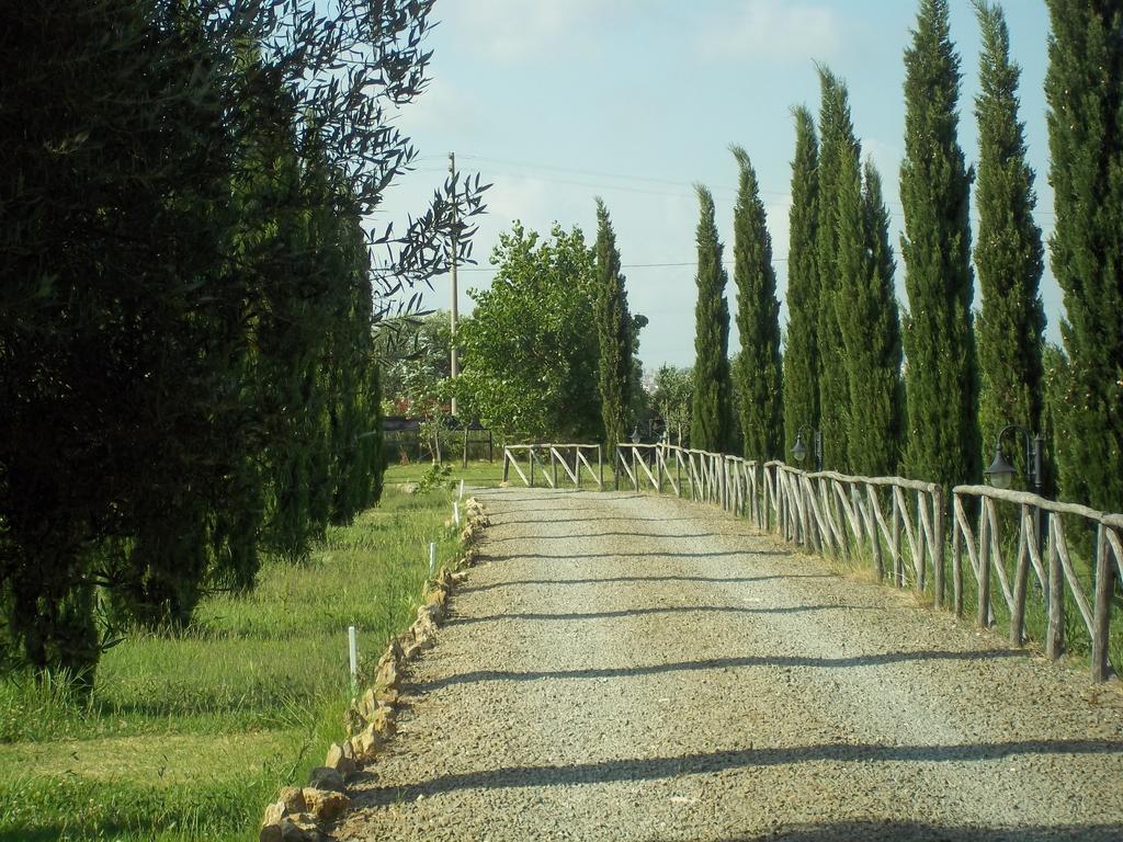Agriturismo Lupo Cerrino Tarquinia Exteriér fotografie