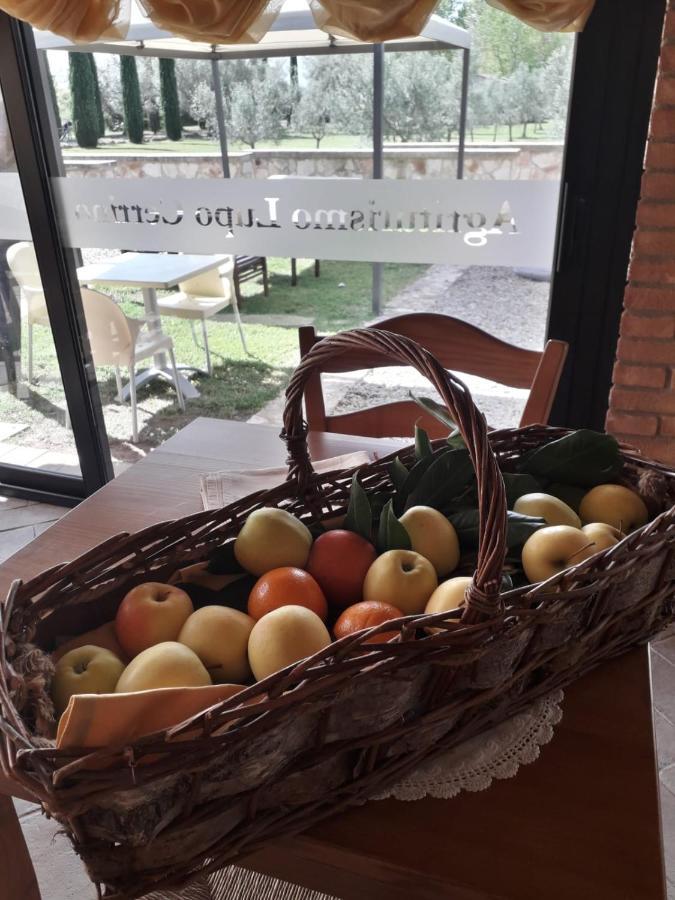 Agriturismo Lupo Cerrino Tarquinia Exteriér fotografie