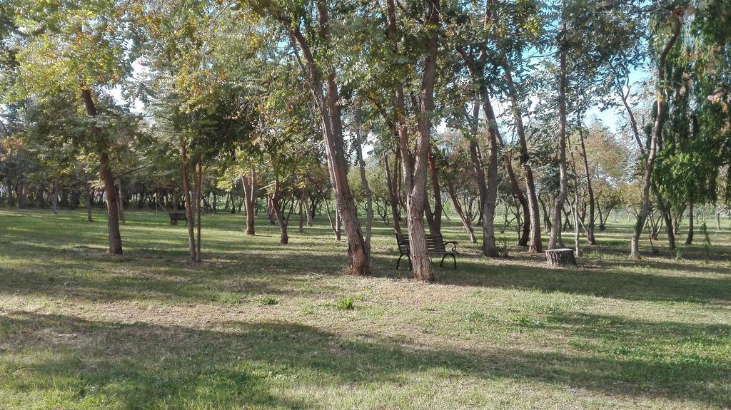 Agriturismo Lupo Cerrino Tarquinia Exteriér fotografie